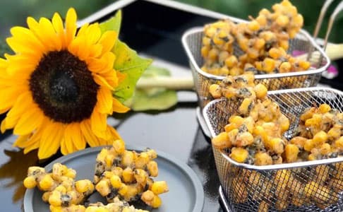 Foodbloggers - Receptenwedstrijd bij Keuken Kampioen